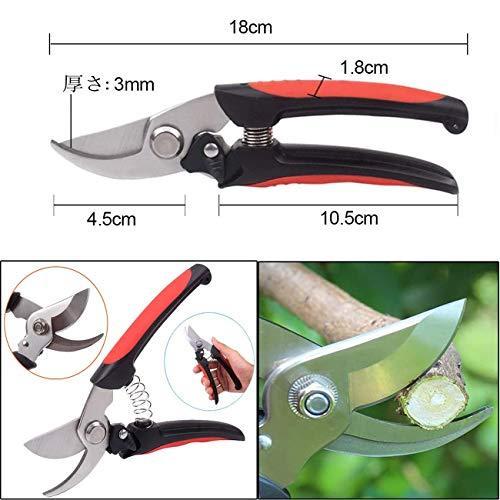 剪定鋏 園芸用はさみ 剪定ハサミ 果樹 庭木の剪定 盆栽剪定道具 庭園作業 剪定ばさみ 生け花 園芸用はさみ 安全ロック付き 耐久性 ステンレスはさみ 5awir4iw0r 業務 産業用 Tizianapepe It