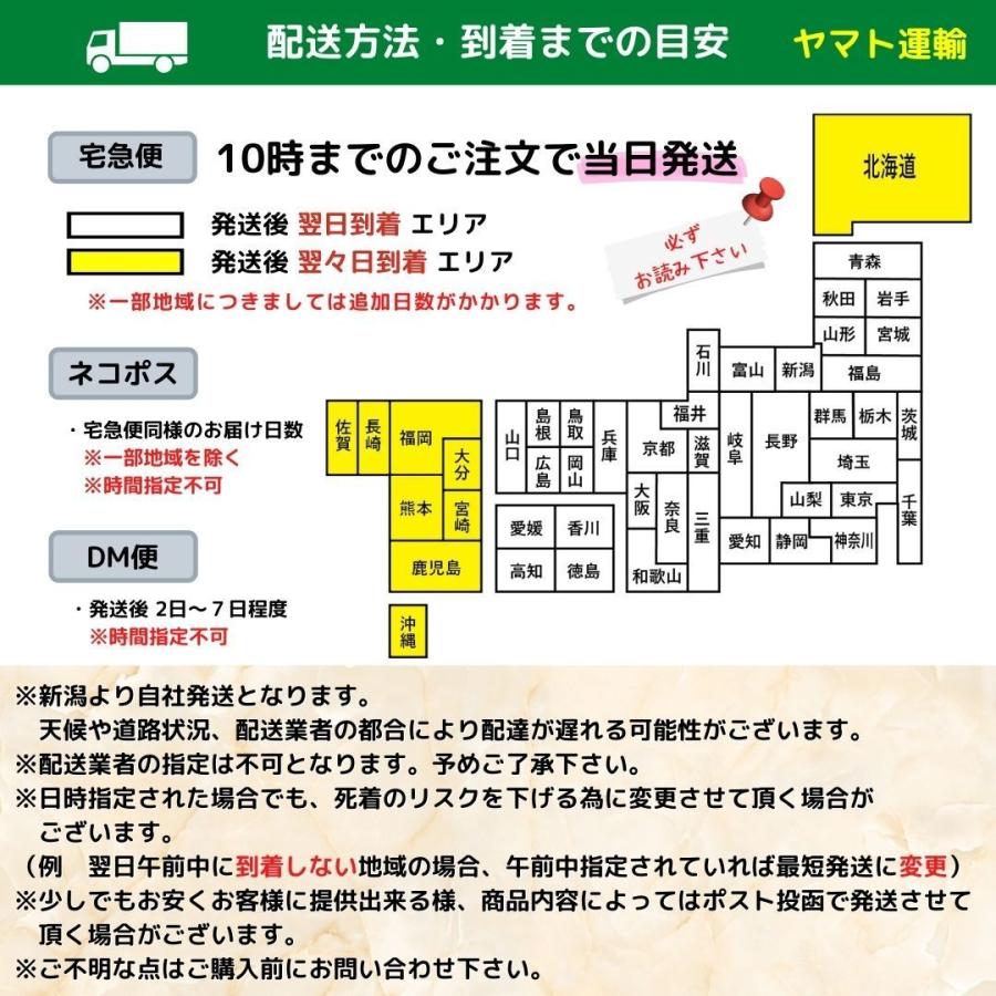 【送料無料】餌用メダカ　100匹　ヒメダカ　めだかの定番｜world-green-aquarium｜06