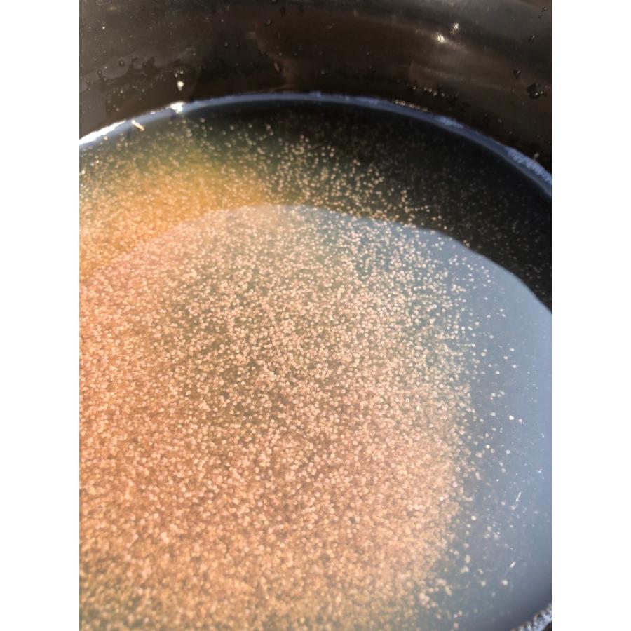 メダカの教科書掲載記念10 以上増 すごい売れてます 高品質 タマミジンコ 約匹 グリーンウォーター付き めだかの餌や金魚の稚魚など 産卵促進 餌 Mijinnko 高級メダカworld Green Aquarium 通販 Yahoo ショッピング