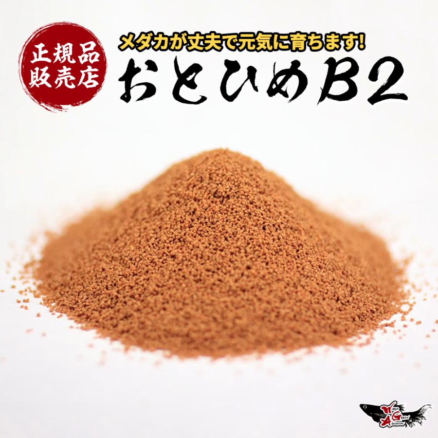 おすすめ】 おとひめB2 100g メダカが大好きな餌 めだかのごはん 乙姫 稚魚の餌 グッピーのエサ :otohime1:高級メダカworld green aquarium 通販 おとひめB2 メダカのエサ
