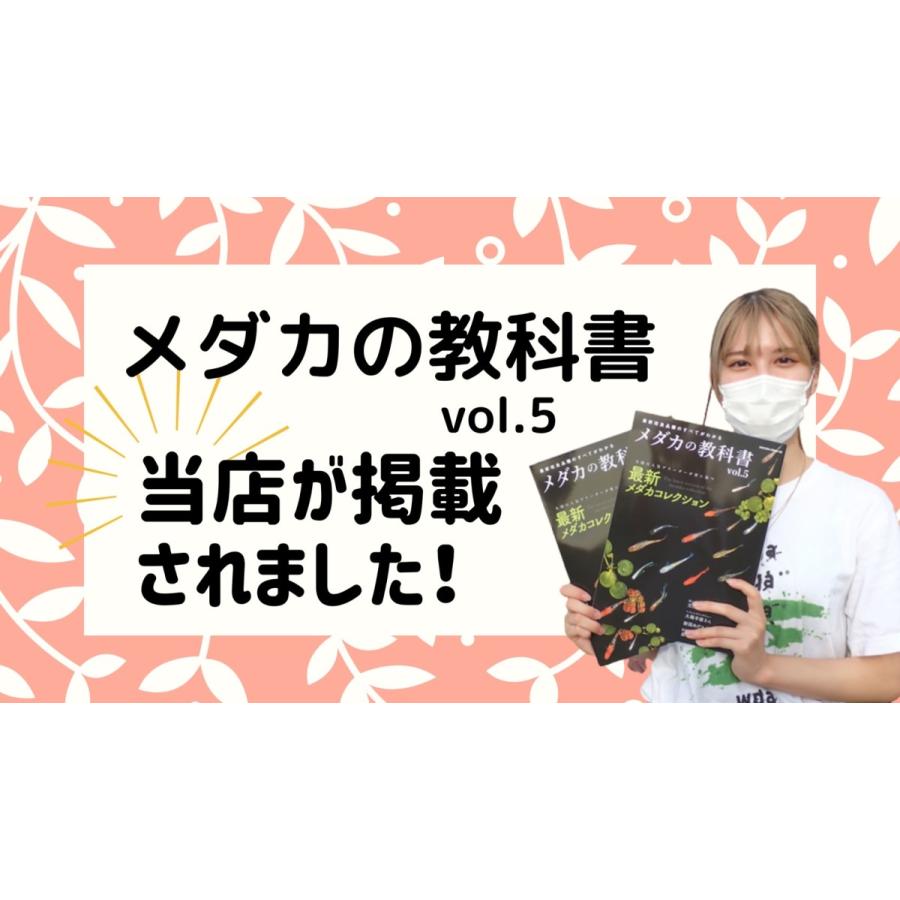 【送料無料】メダカ 餌【おとひめB2 500ｇ】正規品販売店 ミジンコ ゾウリムシ PSB と同梱包可能 生クロレラ同梱不可｜world-green-aquarium｜03