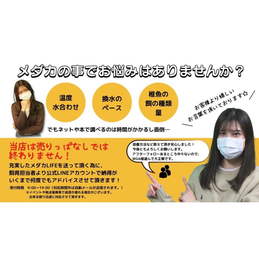 新品 メダカの卵 サバの極み 有精卵 10個 観賞魚 めだか たまご ゾウリムシ ミジンコ Psb 生クロレラ と同梱包可能 Shipsctc Org