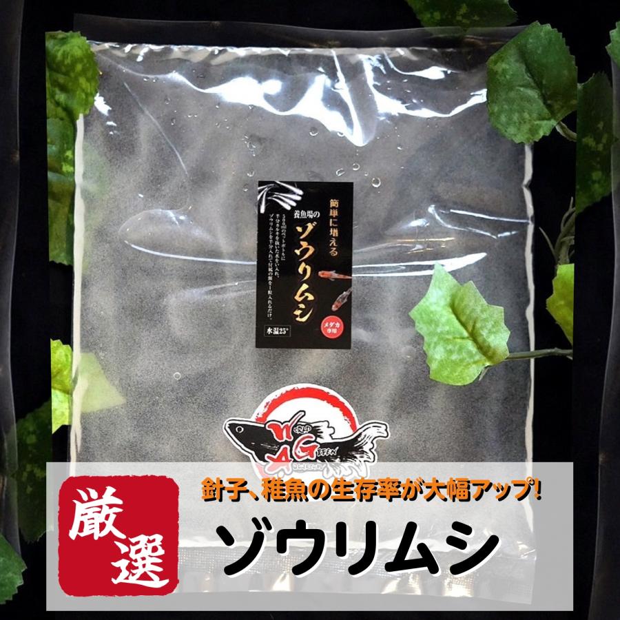 【送料無料】【ゾウリムシ300ml＋ゾウリムシの餌】メダカ 餌 めだか ミジンコ PSB と同梱包可能 生クロレラ同梱不可｜world-green-aquarium