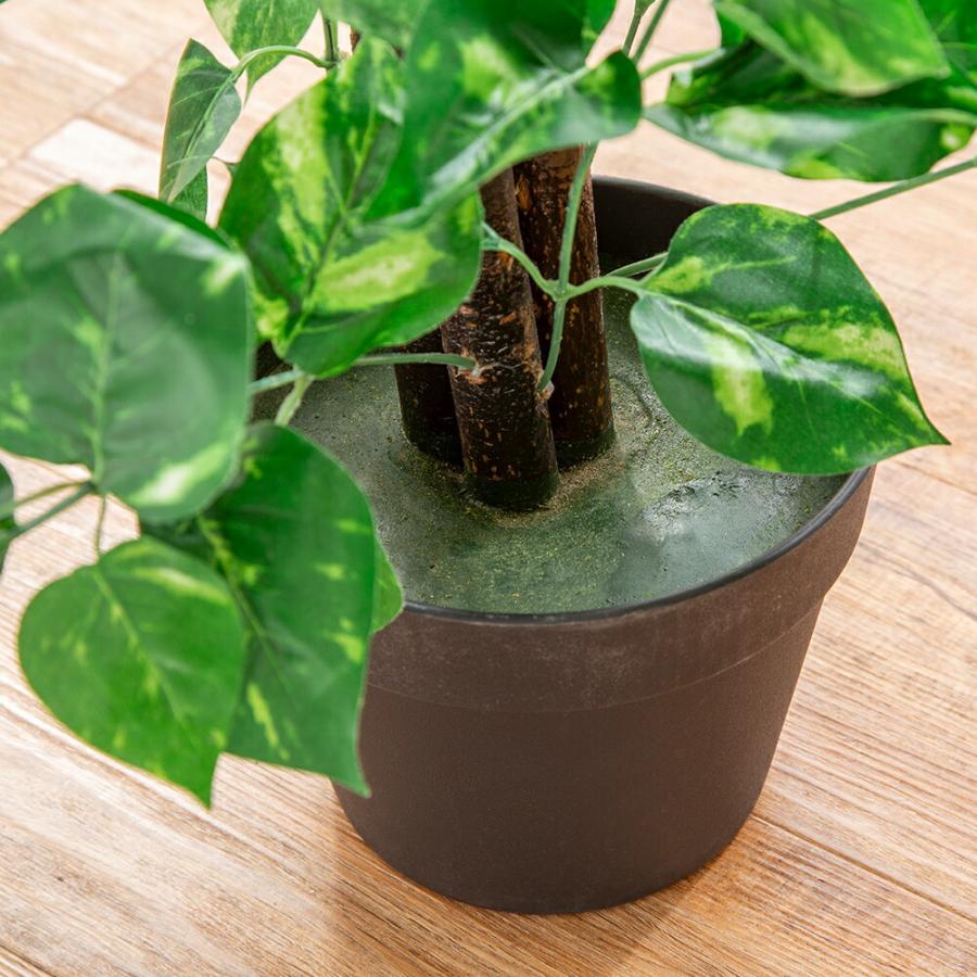 光触媒人工観葉植物 ベンジャミン2本セット インテリアグリーン 人工