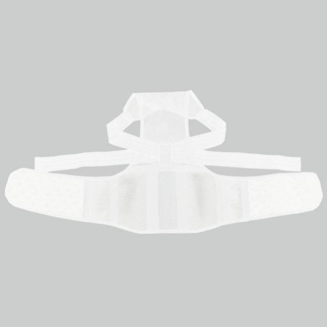 骨盤グイッと背筋Sラインベルト 姿勢矯正ベルト 背中矯正ベルト 背筋