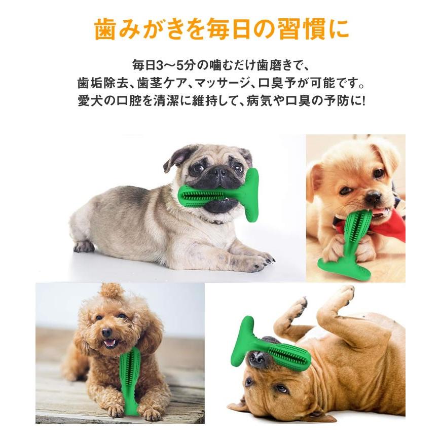 犬用歯ブラシ 360 設計 噛んで遊びながら歯磨き 犬 歯磨き 歯みがき デンタルケア おもちゃ Mサイズ 中型犬用 2個組 送料無料 代金引換不可 ワールドインポートマーケット 通販 Yahoo ショッピング