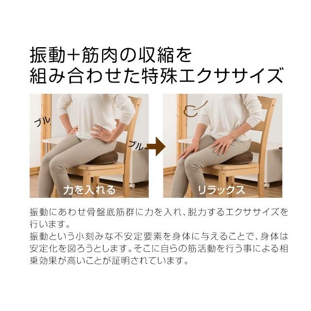 骨盤底筋エクササイズクッション キュットブル 骨盤底筋クッション
