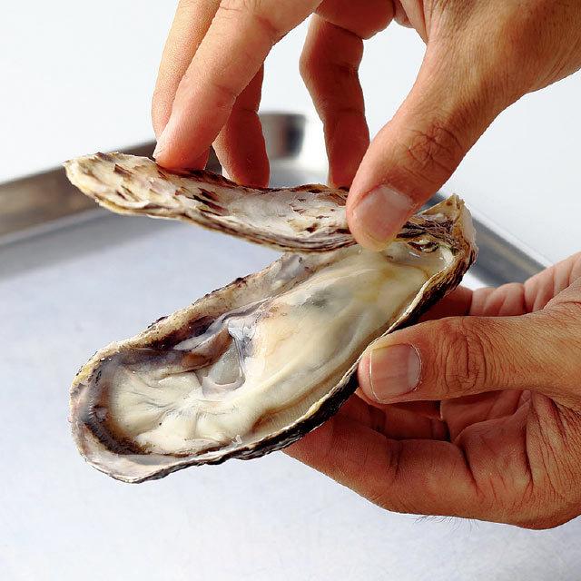 大人気新品 新スレ 流線 ハゼ 100本 数釣り 大漁狙い 競技用 Materialworldblog Com