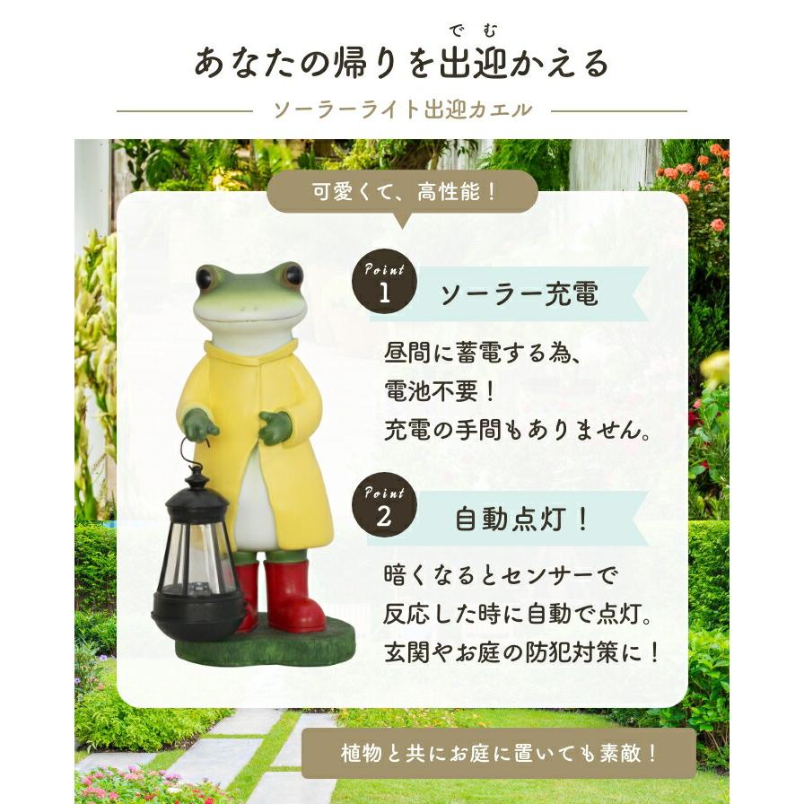 多肉植物 ナイトライト 快適 グロウライト 曜日別 かえる カエル