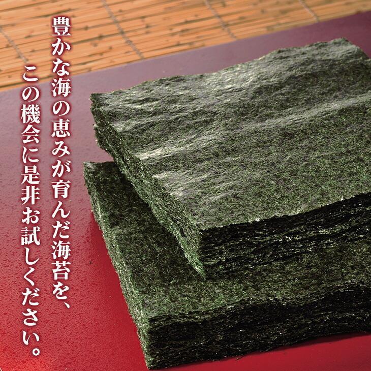 海苔 50枚 有明産 焼き海苔 訳あり 全型 焼海苔 有明海苔 国産 業務用