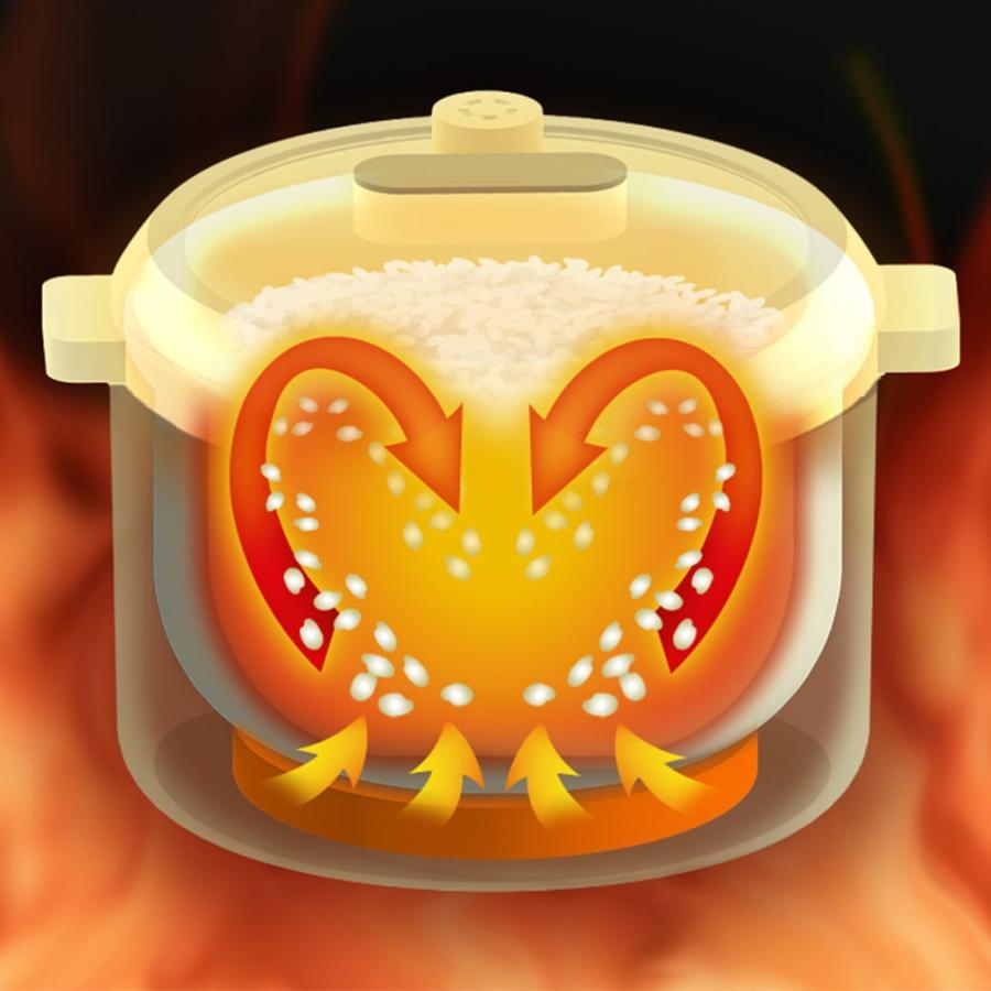 土鍋炊飯器 匠 2.5合 マイコン式 炊飯器 一人暮らし コンパクト