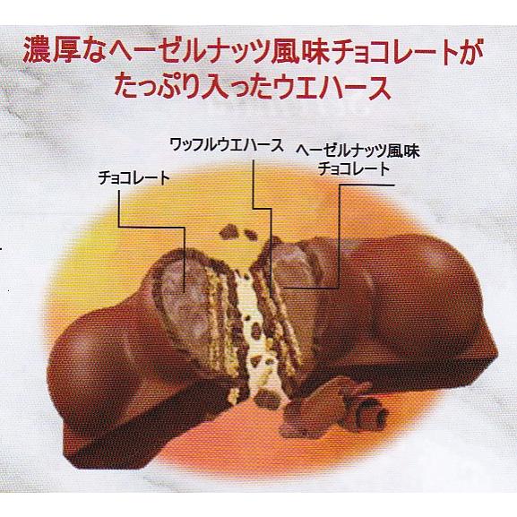 セレナタ トリプロ シングル 20個セット : ワールドプラザYahoo