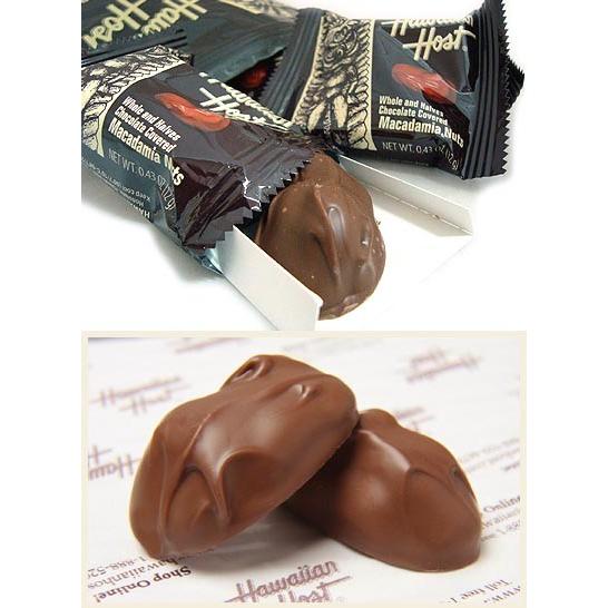 ハワイアンホースト マカデミアナッツチョコレート スタンドバッグ(9粒