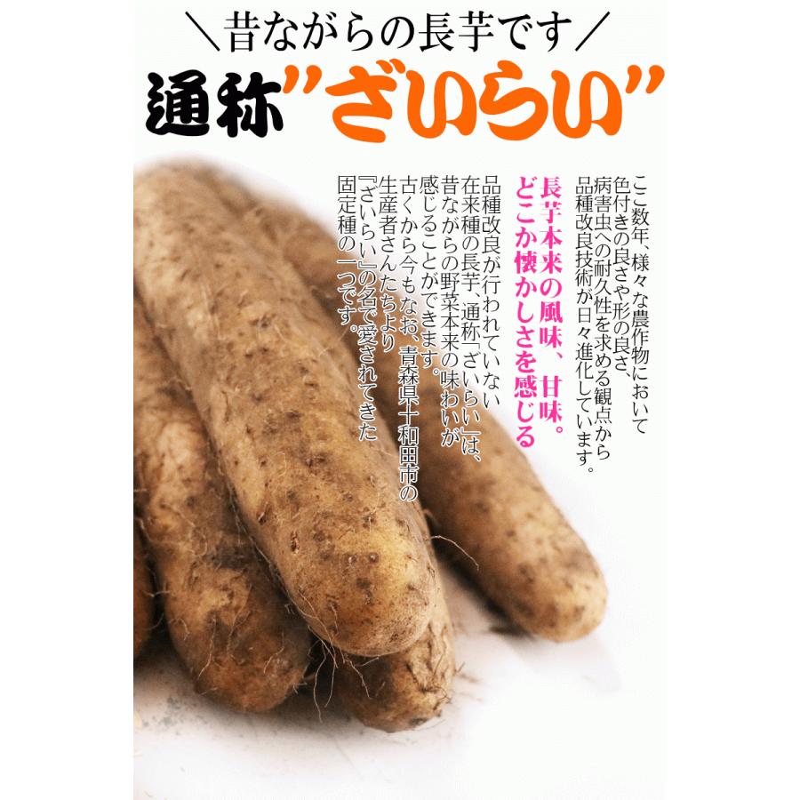 あすつく クール便対応 送料無料 無農薬長いも ご家庭用 5キロ箱 長芋 無農薬栽培｜world-wand｜09