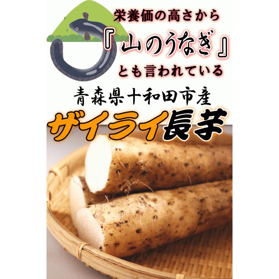 あすつく クール便対応 送料無料 無農薬長いも ご家庭用 5キロ箱 長芋 無農薬栽培｜world-wand｜05