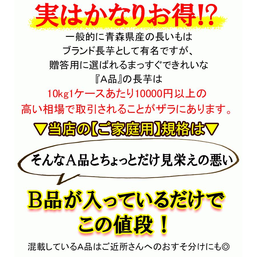 あすつく 500円引き！ クール便対応 送料無料 無農薬長いも ご家庭用 10キロ箱 長芋 無農薬栽培｜world-wand｜16