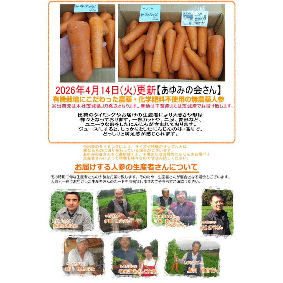 クーポン最大700円引き！にんじん 人参 5kg 無農薬 人参 送料無料 訳あり 5キロ 有機人参 産地が選べる 越冬にんじん 無農薬にんじん ニンジンジュース用に最適 | オーガニック | 18