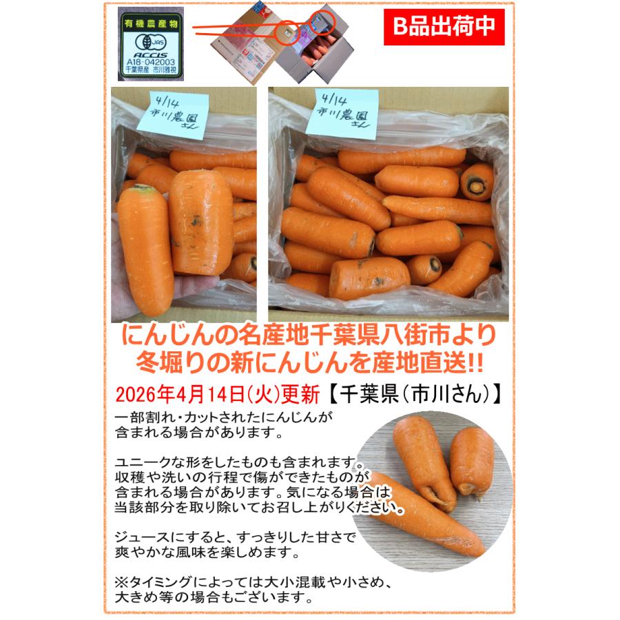 クーポン最大700円引き！にんじん 人参 5kg 無農薬 人参 送料無料 訳あり 5キロ 有機人参 産地が選べる 越冬にんじん 無農薬にんじん ニンジンジュース用に最適 | オーガニック | 17