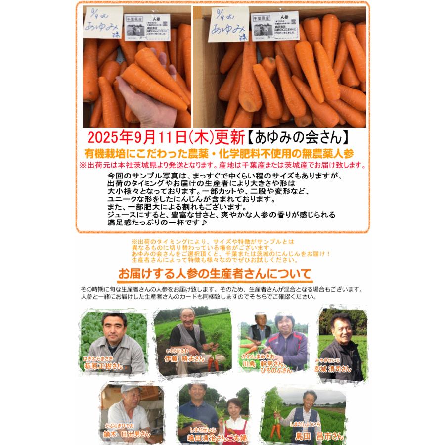 専用出品 5月1日収穫分 即日発送 行者にんにく 3キロ＋オマケ