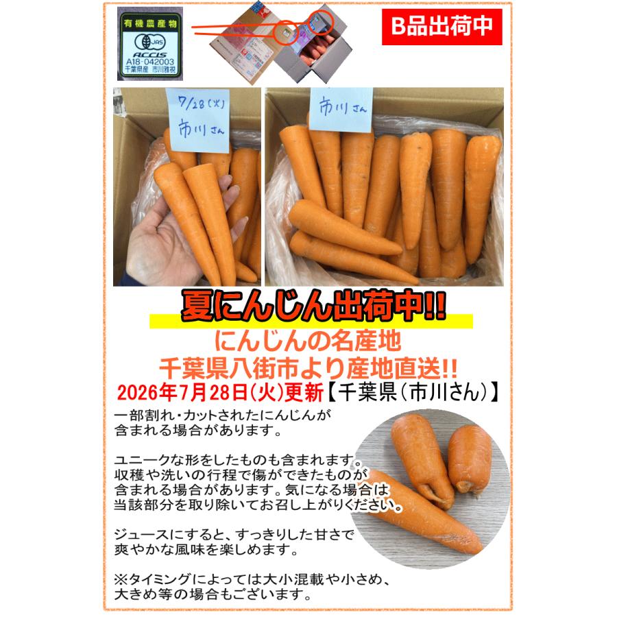 オーガニック 豊作還元☆1580円〜 にんじん 人参 5kg 無農薬 人参 送料