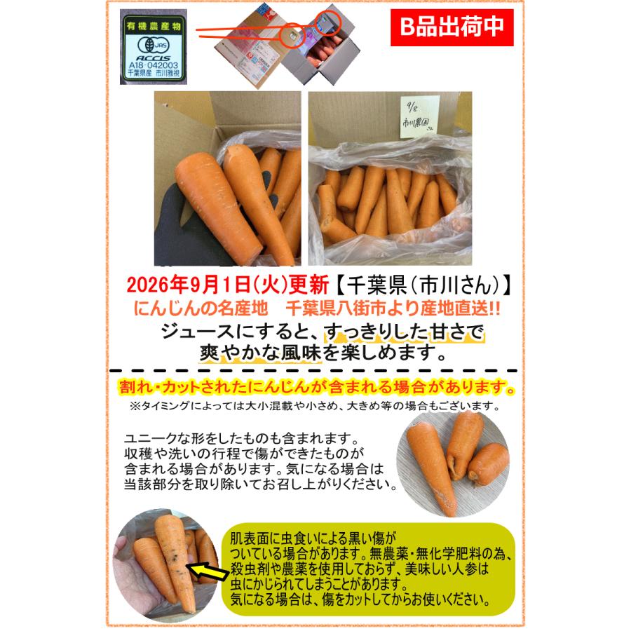 オーガニック 豊作セール！1580円〜 にんじん 人参 5kg 無農薬 人参