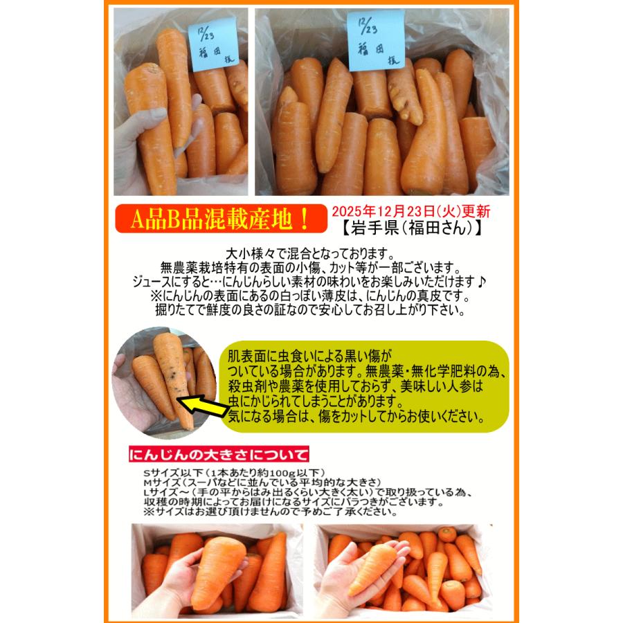 イジンデン 公認大会参加プロモ オーブ5種各4枚セット プロモーションカードについてのおしらせ】 イジンデン先行体験会