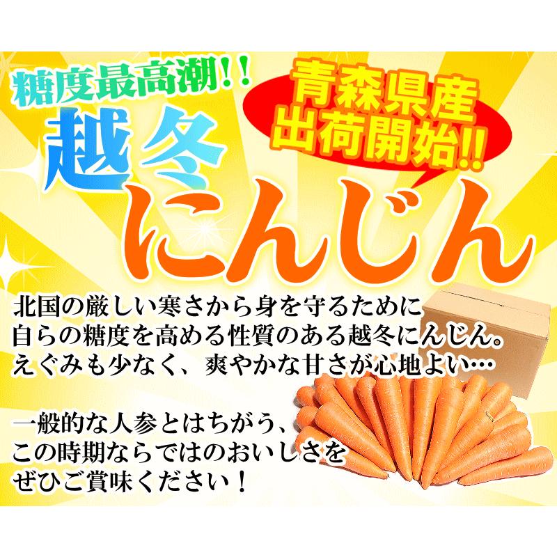 クーポン最大700円引き！にんじん 人参 5kg 無農薬 人参 送料無料 訳あり 5キロ 有機人参 産地が選べる 越冬にんじん 無農薬にんじん ニンジンジュース用に最適 | オーガニック | 09