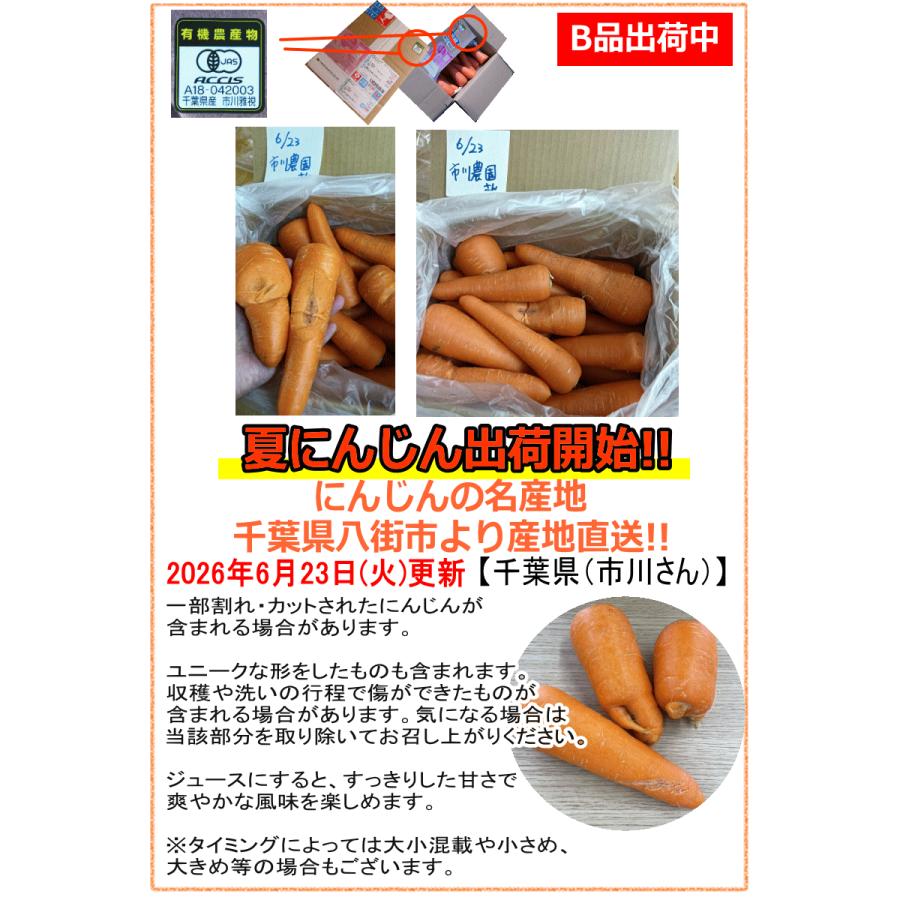 オーガニック にんじん 人参 5kg 無農薬 人参 送料無料 訳あり 5キロ