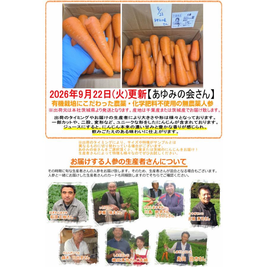 オーガニック 豊作セール！1580円〜 にんじん 人参 5kg 無農薬 人参