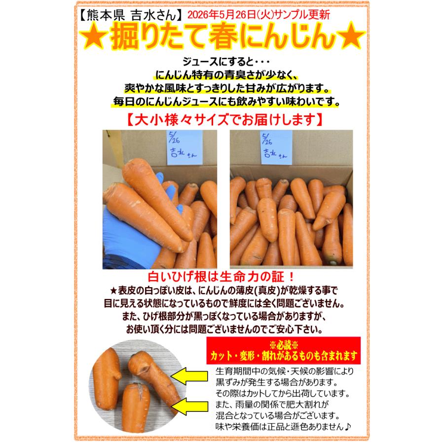 にんじん B品切れ端 5kg 楽天市場】お買い得！栄養価抜群！食品ロス企画 送料無料 国産人参B級