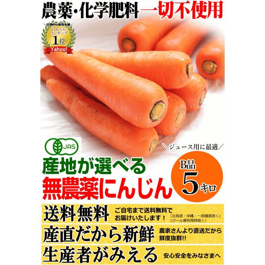 にんじん B品切れ端 5kg 楽天市場】【お買い物マラソン限定100円OFF】クール便 無農薬 人参