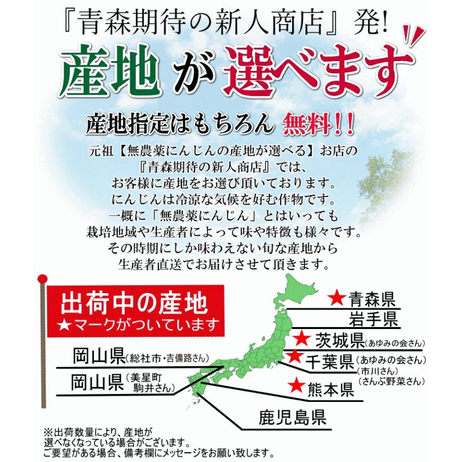 クーポン最大700円引き！にんじん 人参 5kg 無農薬 人参 送料無料 訳あり 5キロ 有機人参 産地が選べる 越冬にんじん 無農薬にんじん ニンジンジュース用に最適 | オーガニック | 08
