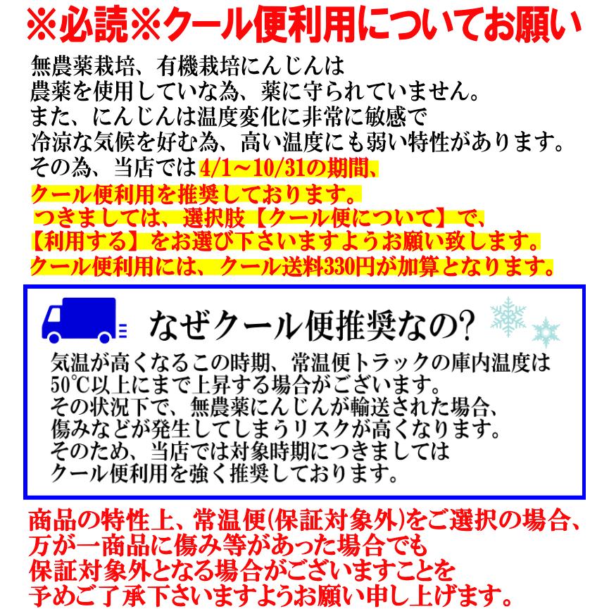 クーポン最大700円引き！にんじん 人参 5kg 無農薬 人参 送料無料 訳あり 5キロ 有機人参 産地が選べる 越冬にんじん 無農薬にんじん ニンジンジュース用に最適 | オーガニック | 07