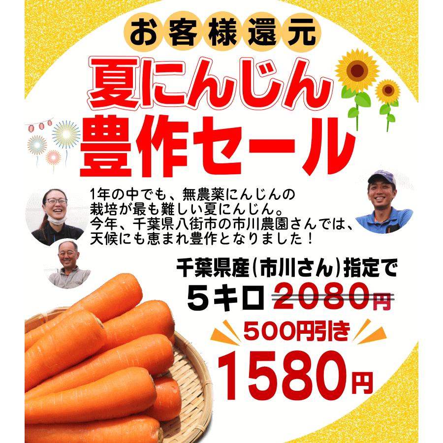 オーガニック 豊作還元☆1580円〜 にんじん 人参 5kg 無農薬 人参 送料