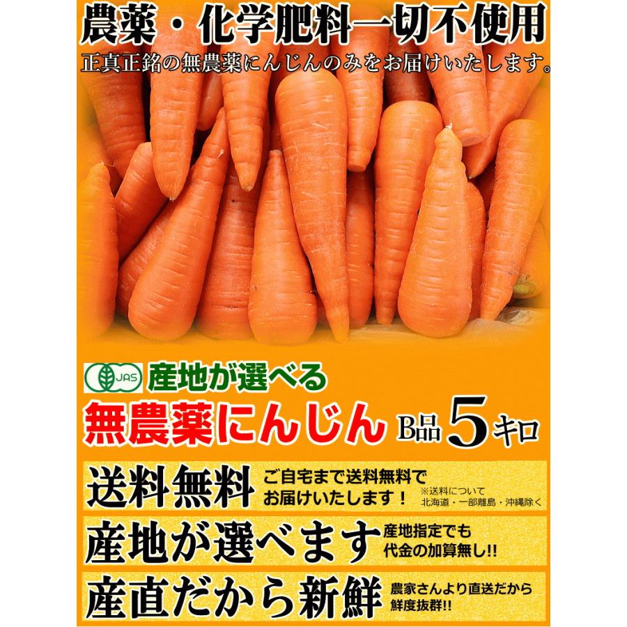 あすつく 無農薬にんじん 5キロ  訳あり クール便対応 産地が選べる 有機人参 無農薬人参 5kg ジュース用に最適｜world-wand｜05