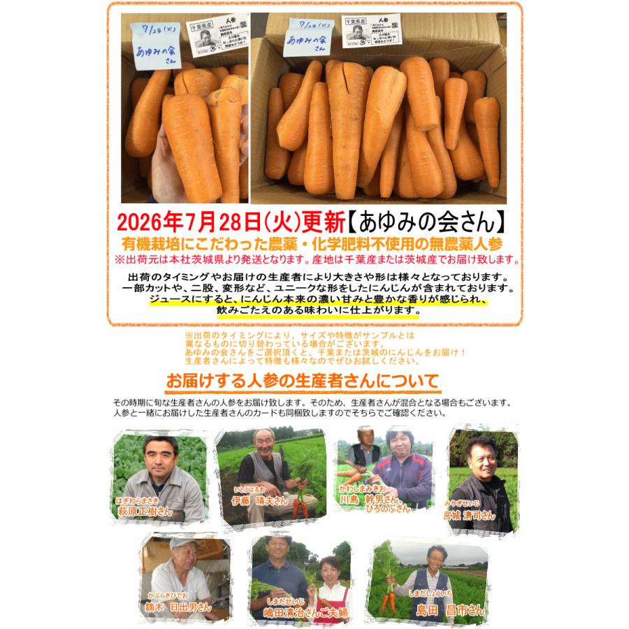 オーガニック 豊作還元☆1580円〜 にんじん 人参 5kg 無農薬 人参 送料