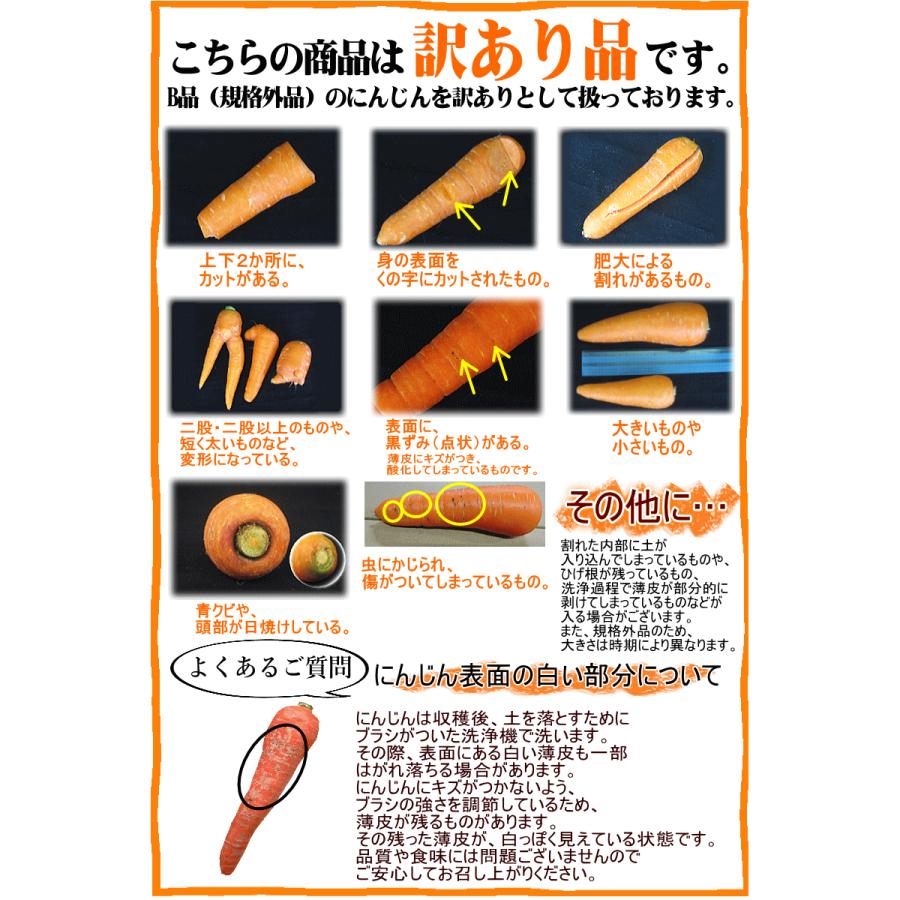 クーポン最大700円引き！にんじん 人参 5kg 無農薬 人参 送料無料 訳あり 5キロ 有機人参 産地が選べる 越冬にんじん 無農薬にんじん ニンジンジュース用に最適 | オーガニック | 15