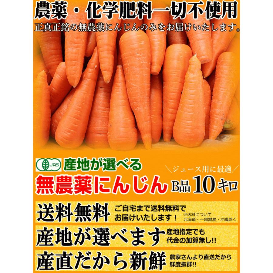 あすつく 無農薬にんじん 10キロ 訳あり クール便対応 産地が選べる 有機人参 無農薬人参 10kg ジュース用に最適｜world-wand｜05