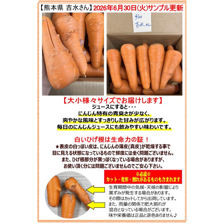 オーガニック にんじん 人参 10kg 無農薬 人参 送料無料 訳あり 10キロ
