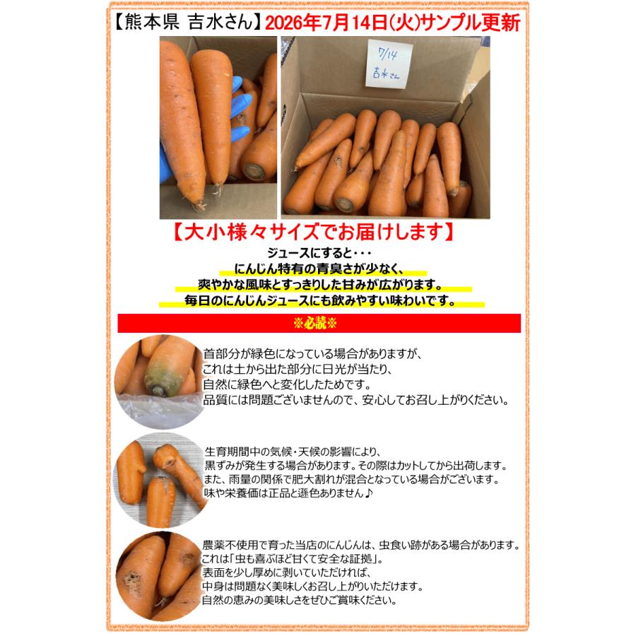 オーガニック にんじん 人参 10kg 無農薬 人参 送料無料 訳あり 10キロ