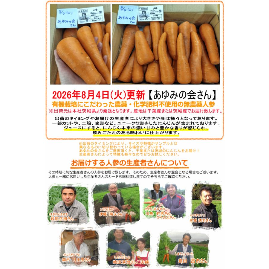 オーガニック 豊作還元☆2380円〜 にんじん 人参 10kg 無農薬 人参
