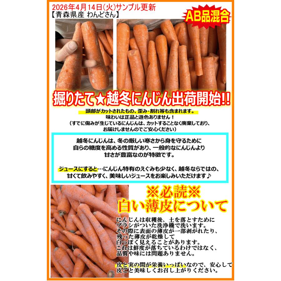 オーガニック クーポン最大700円引き！にんじん 人参 10kg 無