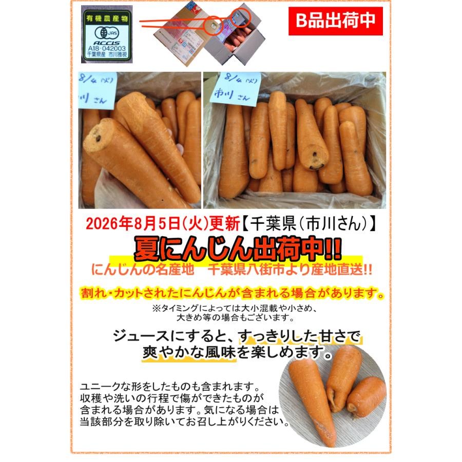豊作還元★2380円〜 にんじん 人参 10kg 無農薬 人参 送料無料 訳あり 10キロ 有機人参 産地が選べる 無農薬にんじん ニンジンジュースに最適 | オーガニック | 15