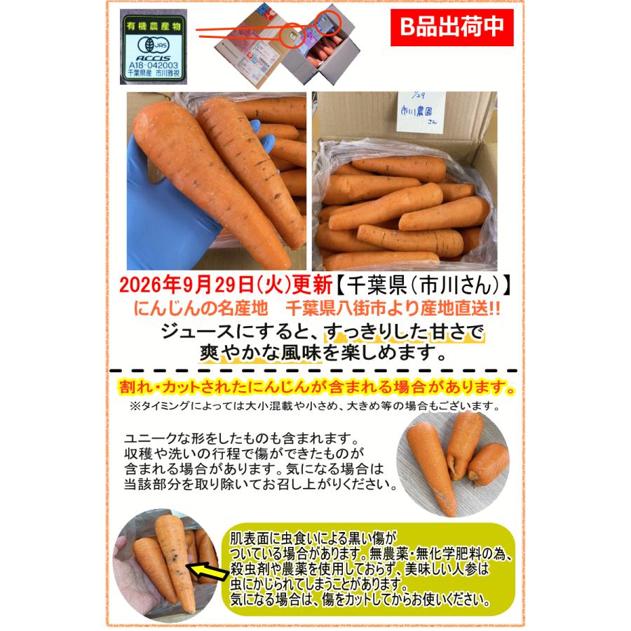 オーガニック クーポンで10%引き！2380円〜 にんじん 人参 10kg 無農薬