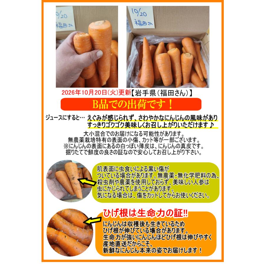 オーガニック クーポンで10%引き！2580円〜 にんじん 人参 10kg 無農薬