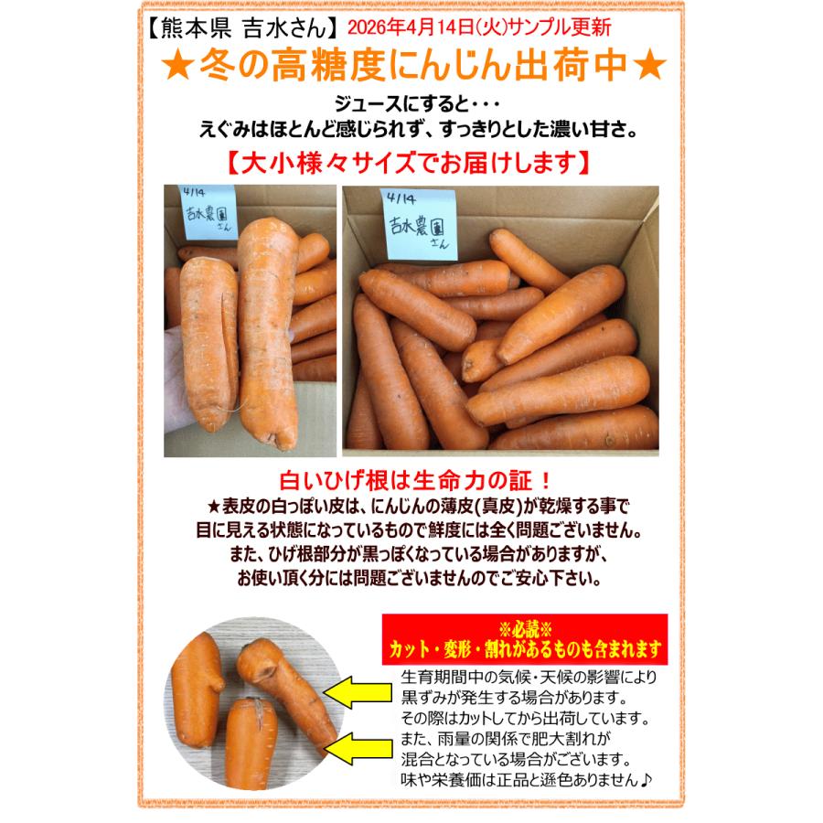 オーガニック クーポン最大700円引き！にんじん 人参 10kg 無