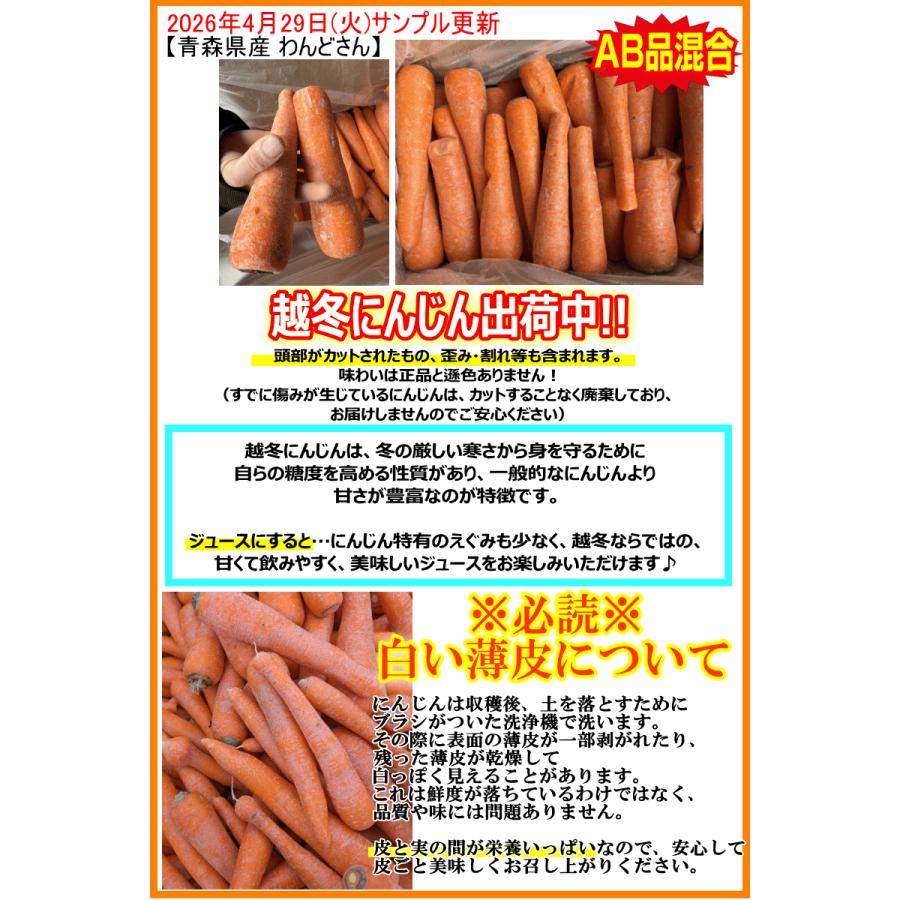 オーガニック にんじん 人参 10kg 無農薬 人参 送料無料 訳あり 10キロ