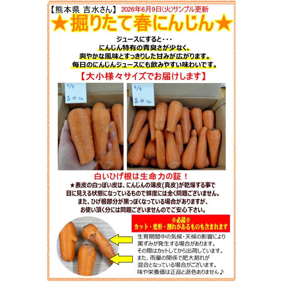 オーガニック 2980円⇒2780円！にんじん 人参 10kg 無農薬 人参 送料
