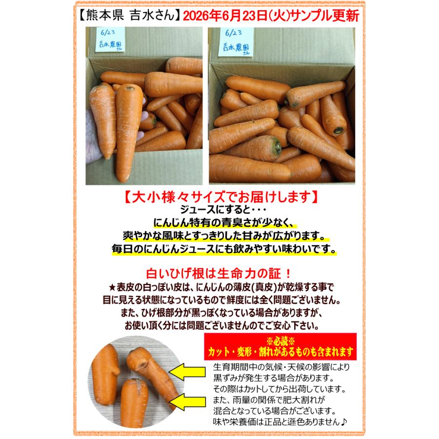 オーガニック にんじん 人参 10kg 無農薬 人参 送料無料 訳あり 10キロ