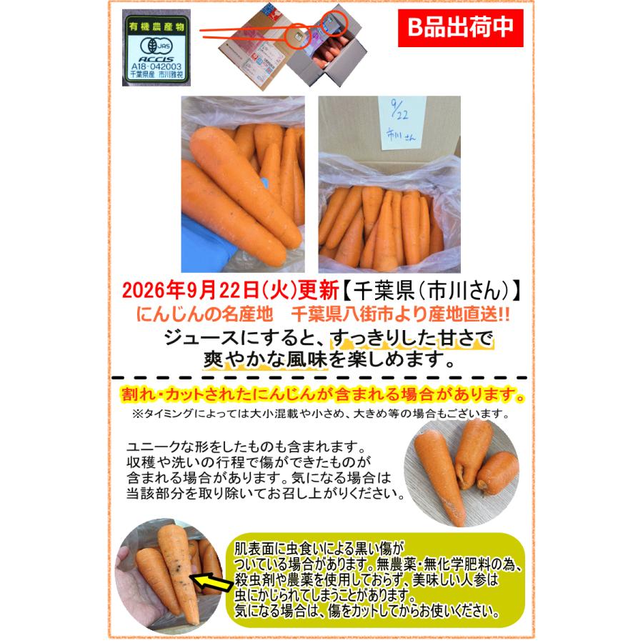 オーガニック 豊作セール！2380円〜 にんじん 人参 10kg 無農薬 人参
